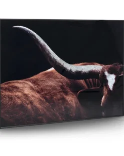 COCO maison Rodeo Schilderij