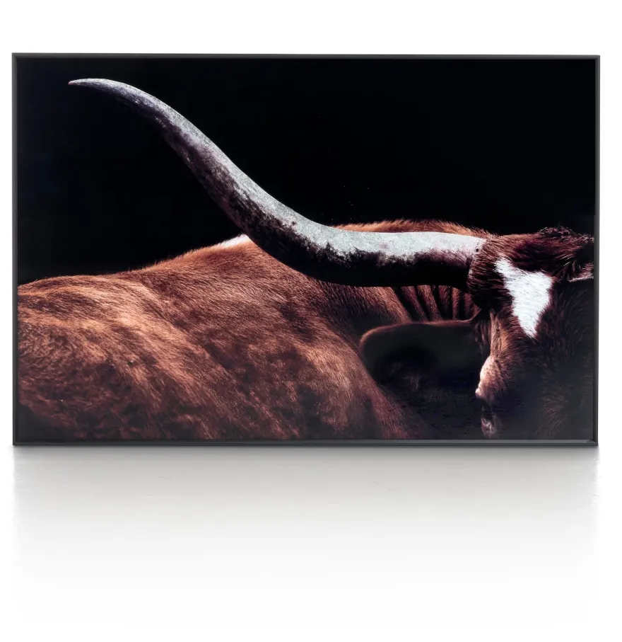COCO maison Rodeo Schilderij