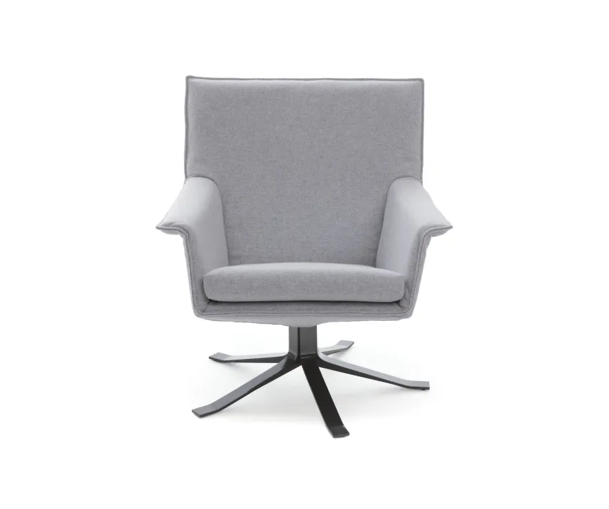 Design on Stock Djenne Draaifauteuil