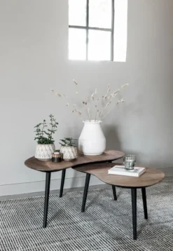 DTP Home Organus Salontafelset