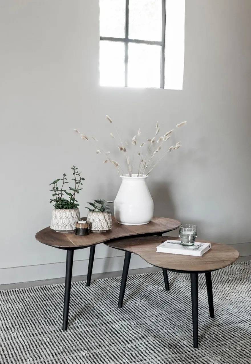 DTP Home Organus Salontafelset