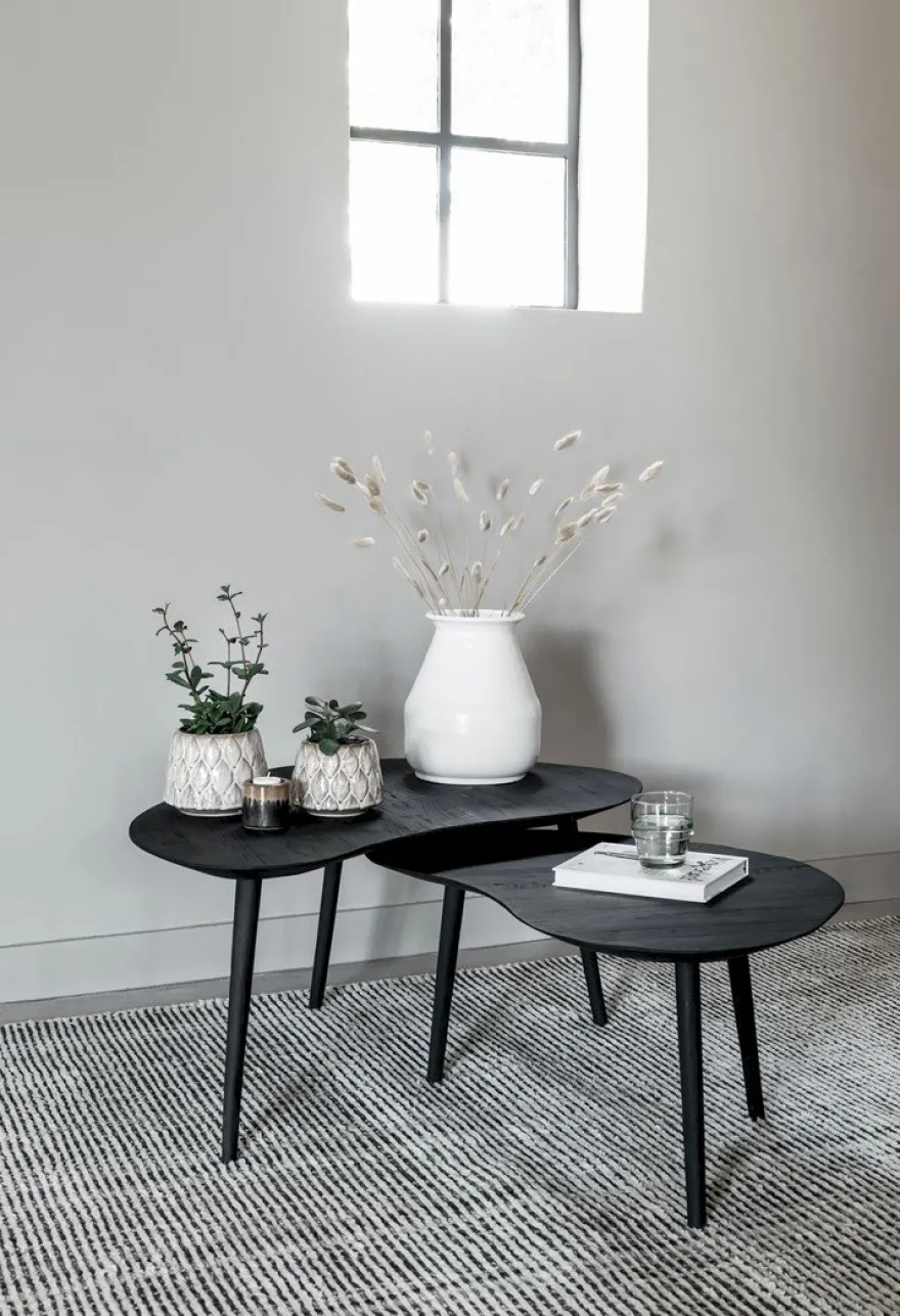 DTP Home Organus Salontafelset