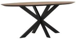 DTP Home Shape Ovaal Eettafel