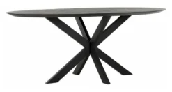 DTP Home Shape Ovaal Eettafel