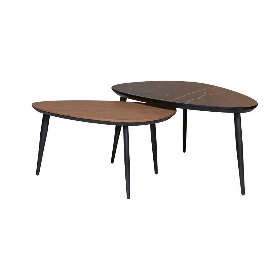 Eijerkamp Collectie Dani Salontafelset