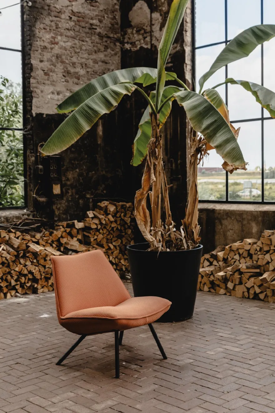 Eijerkamp Collectie Sunny Fauteuil