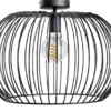 Eijerkamp Collectie Wire 2.0 Plafondlamp