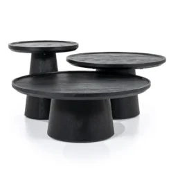 Eleonora Ron S Salontafel