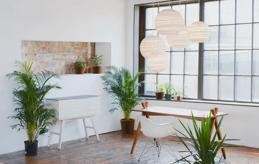 Graypants Moon White Hanglamp