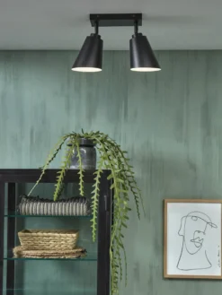 It's about RoMi Bremen 2 spots Plafondlamp