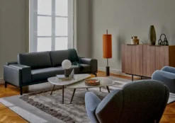 Leolux Anton Fauteuil