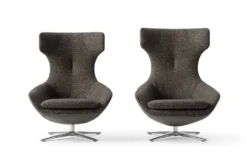 Leolux Caruzzo Ampio fauteuil