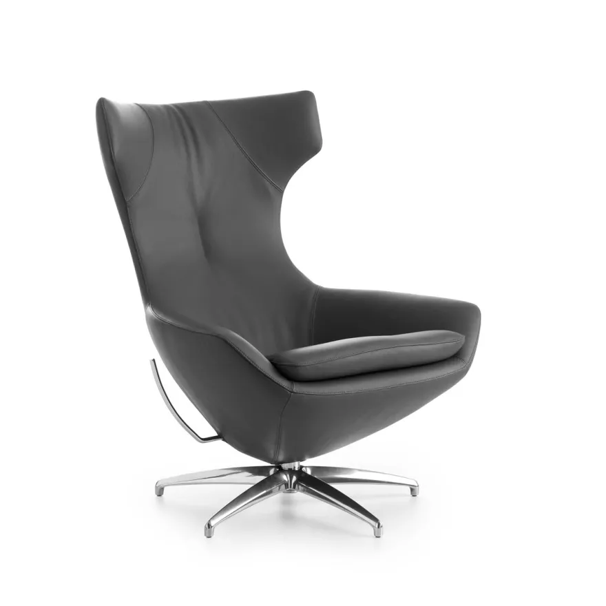 Leolux Caruzzo Primo Plus Fauteuil