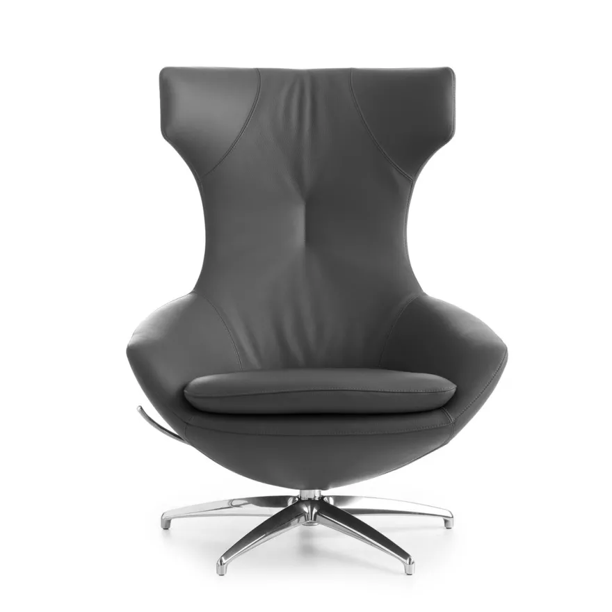 Leolux Caruzzo Primo Plus Fauteuil