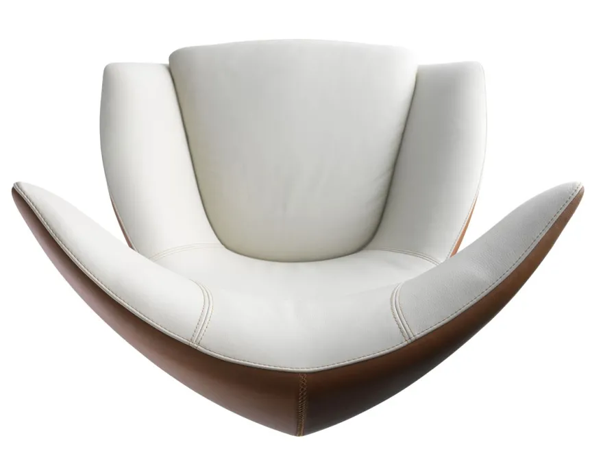 Leolux Caruzzo Primo Plus Fauteuil