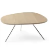 Leolux Liliom Salontafel