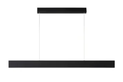 Lucide Raya Zwart Hanglamp
