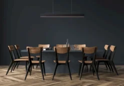 Lucide Raya Zwart Hanglamp