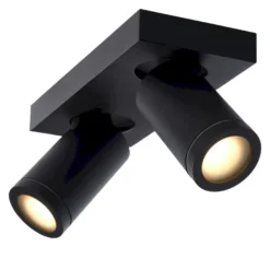 Lucide Taylor Plafondlamp
