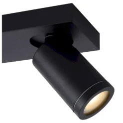 Lucide Taylor Plafondlamp