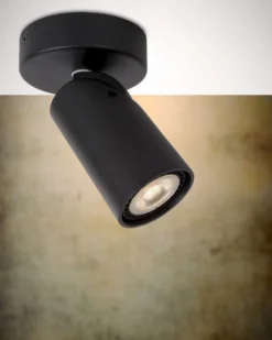 Lucide Xryus Plafondlamp