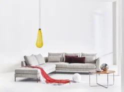 Montis Daley Soft Bank