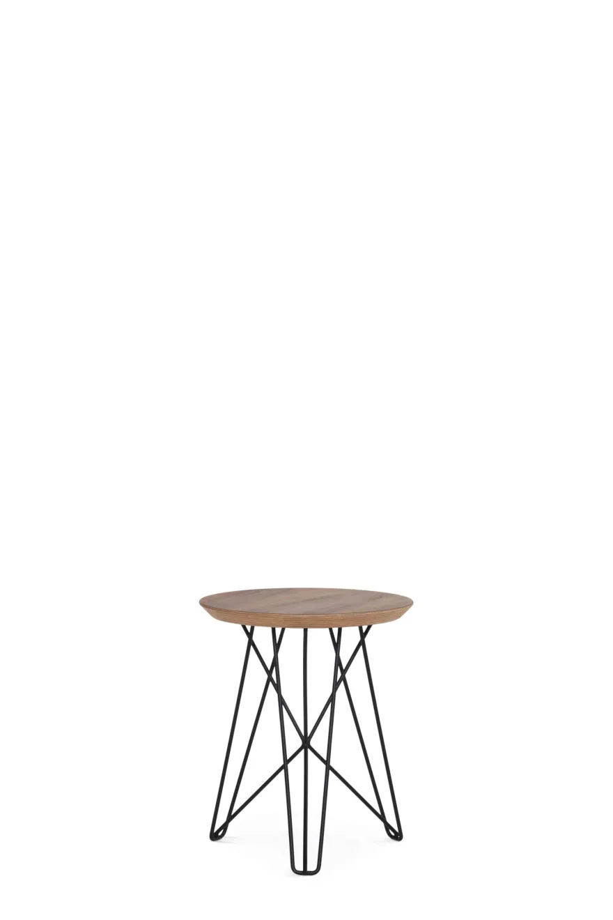 Pastoe Ijhorst Bijzettafel