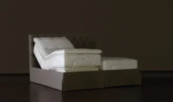 Schramm Divina Matras