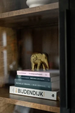 Trendhopper Gaya Buffetkast