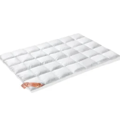 Vandyck Excellent 650 Dekbed